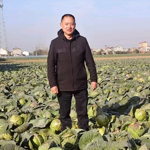 新君说娱乐头像