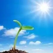 雾漫织雾的个人资料头像