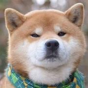 用户8737424169773的个人资料头像