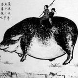 稀土快递头像