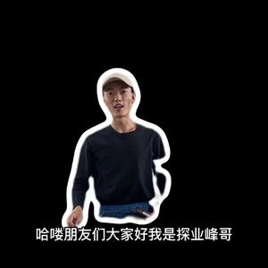 探业锋哥头像