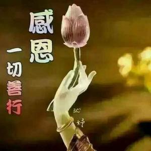 晋豫传媒红歌影视头像