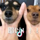没所谓剧情头像
