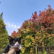 muriox的个人资料头像