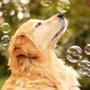 noble耀的个人资料头像