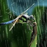 不奋斗不青春的明头像