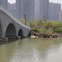 率真辰星49W头像