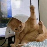 卤蛋小忧伤头像