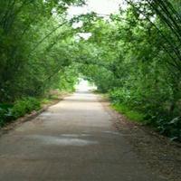 轻风细雨8781头像