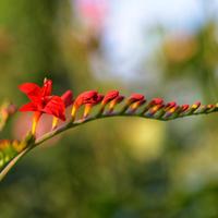 爱生活的春风YZ8头像