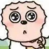 yyckk头像
