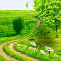 敬酒问苍天头像