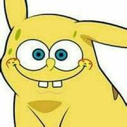 内姆蕾的个人资料头像