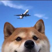 Zz_996的个人资料头像