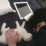 半夏232的个人资料头像