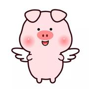 hjx的个人资料头像