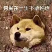 飞翔的叮叮猫儿的个人资料头像