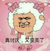 整个羊群我最sao的个人资料头像