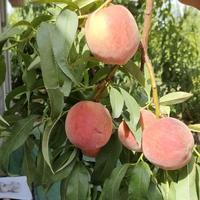 用户1217291608122头像