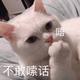 Sssssssing头像
