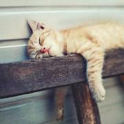 啊昊的个人资料头像