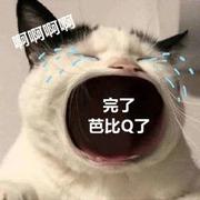 想吃烧烤的个人资料头像