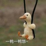 愉悦的海浪o3z头像