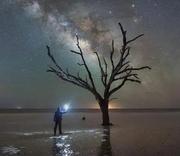 星光闪闪的个人资料头像