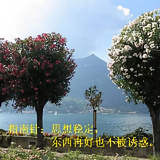 141505696头像