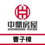 中鼎广东佰锐打包箱头像