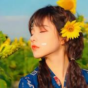 太阳花莹的个人资料头像