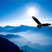 用户1190016624217的个人资料头像