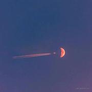 itwenxiao的个人资料头像