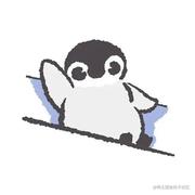 迷茫小石头的个人资料头像