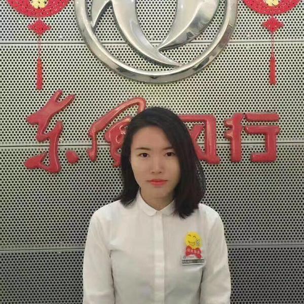 唐梅东风风行头像