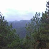 学无止境7187头像