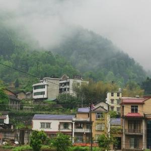 江湖风雨路飘摇头像
