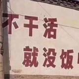 哈佛大狗势必拿下头像