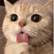 BingCola的个人资料头像