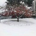 雷霆L韦少头像