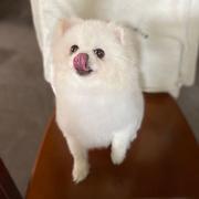 用户3725471069800的个人资料头像