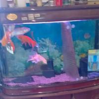 用户5279255974207头像