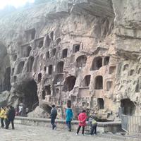 独钓洛河1头像