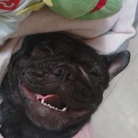 用户8365090437826头像