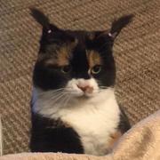 JMin_的个人资料头像