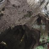 深月锁清秋456头像