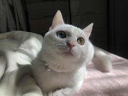 王维余的个人资料头像