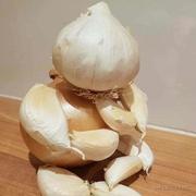 我可不乱来的个人资料头像