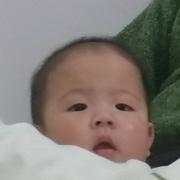 xinqi31的个人资料头像