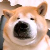 用户7418849004751头像